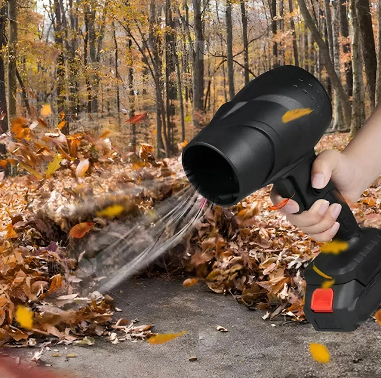 Sopladora eléctrica